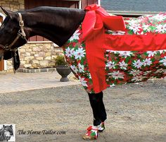 a woman standing next to a brown horse wearing a christmas present wrapped in red and white