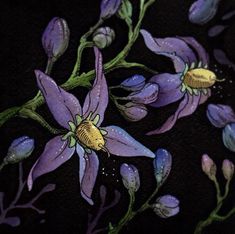 purple flowers with green leaves on a black background are depicted in this close up photo