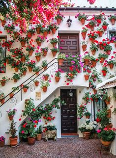 many potted flowers are growing on the side of a building with stairs leading up to it