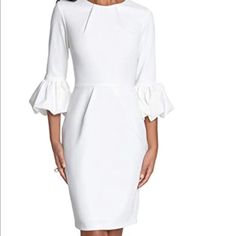 Bell Sleeves, Exposed Zipper On Back. Blush Fitted Pleated Midi Dress For Brunch, Feminine Fitted Mini Dress With Pleated Sleeves, Elegant Long Sleeve Shift Midi Dress, Elegant Fitted Mini Dress With Pleated Sleeves, Elegant Sheath Midi Dress With Pleated Sleeves, Fitted Office Dress With Pleated Sleeves, Chic Sheath Midi Dress With Pleated Sleeves, Elegant Pleated Midi Dress For Brunch, White Pleated Dress For Office