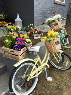 two yellow bicycles with baskets full of flowers