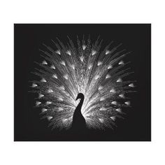 a black and white photo of a peacock with its tail feathers spread out in the air