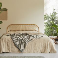 a bed with a blanket on top of it next to a plant in a room