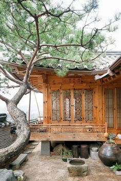 a small wooden building sitting next to a tree in front of a large potted plant