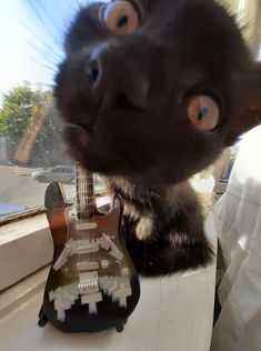 a black cat is looking at the camera while holding a guitar in front of its face