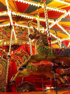 a merry go round with horses and lights