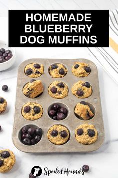 homemade blueberry dog muffins in a muffin tin