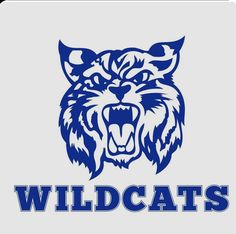 the wildcats logo is shown in blue and white with an angry cat's head