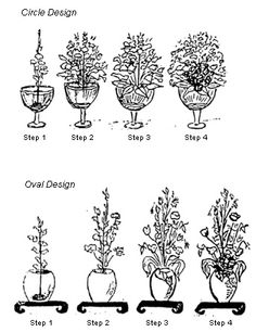 the different types of flowers in vases are shown on this page, and each one has