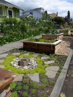 an image of a garden with rocks and plants in the center, surrounded by green grass