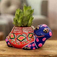 a colorful ceramic turtle planter with a succulent in it's mouth