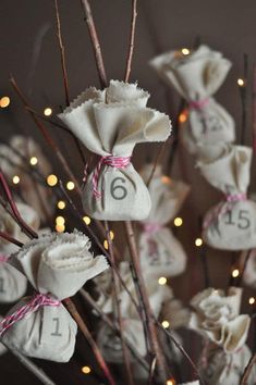 a bunch of white flowers sitting on top of a table next to each other with numbers written on them