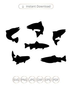 the silhouettes of fish are shown in different sizes and colors, including one black