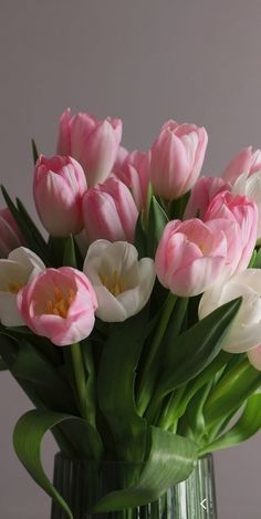 pink and white tulips in a glass vase on a gray tablecloth with green leaves