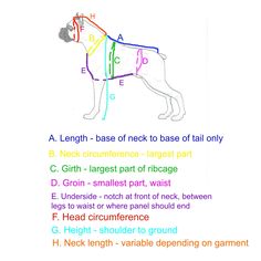 a drawing of a dog's body and neck with the words in different colors