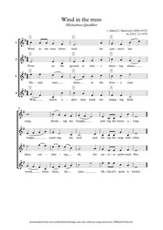 wind in the trees sheet music