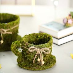 moss covered mugs sitting on top of a table next to a book and flowers