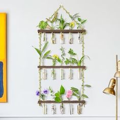 a wall hanging planter filled with plants on top of a wooden shelf next to a lamp