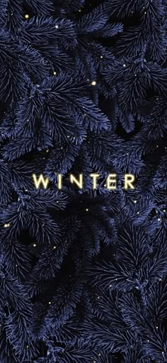 the title for winter, written in gold on a dark blue background with pine needles