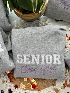 three gray sweatshirts with the words senior class of 2013 on them next to a potted plant