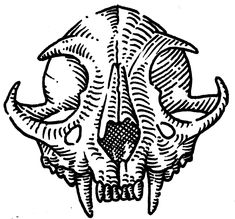 a black and white drawing of a skull