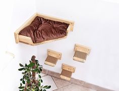 a dog bed on the wall above a potted plant