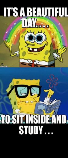 spongebob is reading a book with the caption it's a beautiful day to sit inside and study