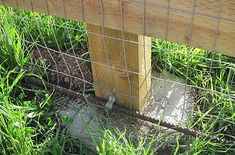 a wooden post in the grass behind a fence