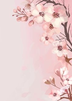 a pink background with white flowers and branches