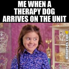 Oh how I wish I could pet it... Registered Nurse School, Psychiatric Nurse, Social Work Humor, Nursing Life, Healthcare Humor