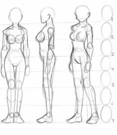 three sketches of female body shapes in various positions, including the head and torso area