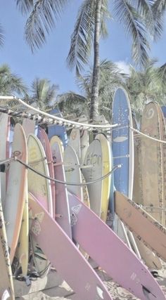 a bunch of surfboards are lined up on the beach with palm trees in the background