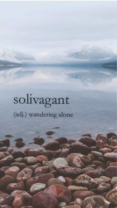 the cover of solivagant, featuring rocks and water with mountains in the background