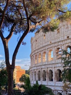 the colossion in rome, italy is one of the most beautiful places on earth