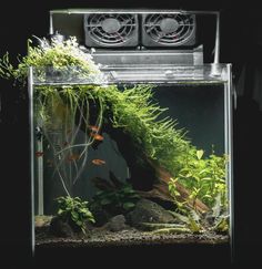 an aquarium filled with plants and fish in it's tank next to a fan