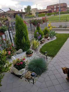 a dog is standing in the middle of a yard with flowers and plants around it