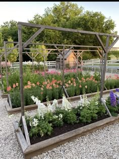 a garden filled with lots of different types of flowers