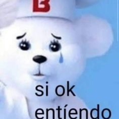 a white teddy bear wearing a chef's hat with the letter b on it