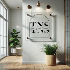 an eye chart on the wall above a potted plant