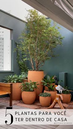 a wooden bench sitting on top of a hard wood floor next to potted plants