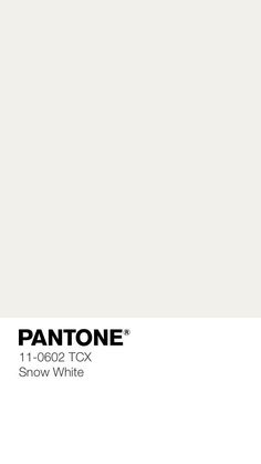 pantone's 11 - 0092 tpg snow white paint swatches