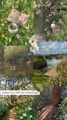 a collage of pictures with flowers and people in the water, trees, grass