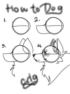 how to draw a cartoon dog with different facial expressions and head shapes, step by step