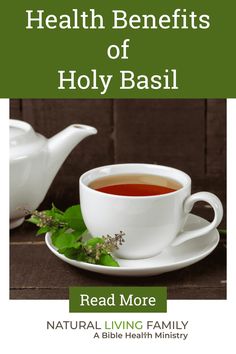 Holy basil is an aromatic plant, also called tulasi or tulsi, and is one of God’s greatest miracle plants. With incredible healing power, holy basil benefits have been used for reliable traditional medicinal remedies for centuries. Basil Benefits, Holy Basil Benefits, Aromatic Plant, Healing Power, Healing Powers, Natural Living