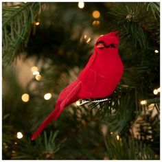 a red bird sitting on top of a christmas tree