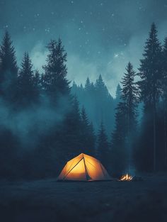 a tent pitched up in the middle of a forest at night with stars above it