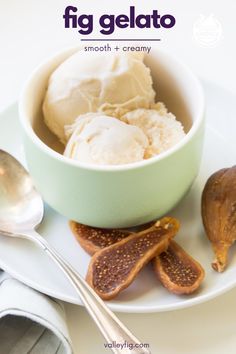 scoops of Golden fig gelato in a green bowl Fig Gelato, Fig Ice Cream, Dried Fig Recipes, Fig Dessert, Italian Gelato, Italian Ice Cream, Gelato Recipe, Travel To Italy, Dessert Places