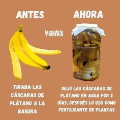 an image of bananas and other foods in the same jar with captioning below