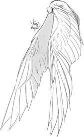 a drawing of a bird with its wings spread