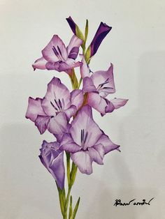 a painting of some purple flowers on a white background with watercolor pencils in it